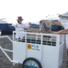 Aksi Gerakan Bersih Pelabuhan oleh PLN Icon Plus di Pelabuhan Ketapang.