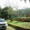 Tiket masuk Taman Safari Bogor. (foto/Taman Safari Bogor)