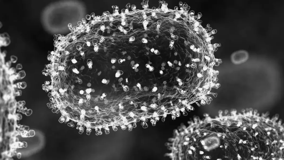 Apa Itu Mpox atau Cacar Monyet, Mengapa WHO Tetapkan sebagai Darurat Kesehatan Global?