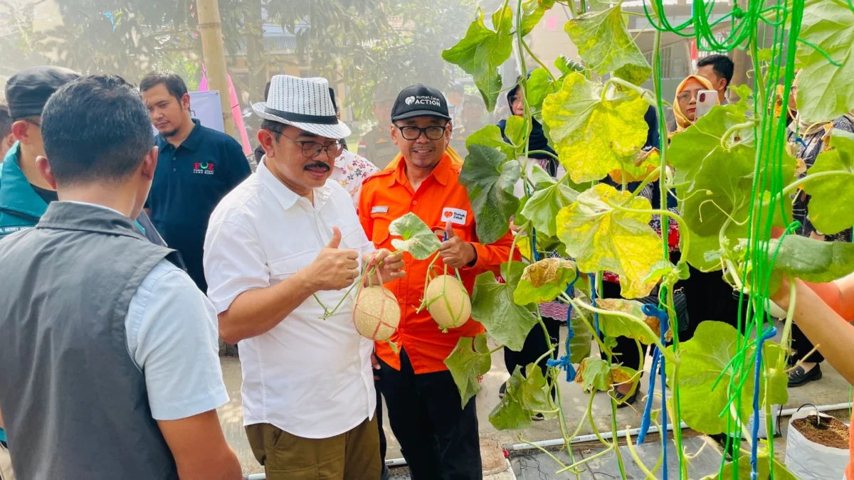 Kisah Sukses Panen Melon di Bawah Bimbingan Rumah Zakat Pj Bupati Ciamis Engkus Sutisna saat meninjau pertanian melon di Lakbok Ciamis, Kamis 1 Agustus 2024. (Cecep Herdi/Jabar Ekspres)