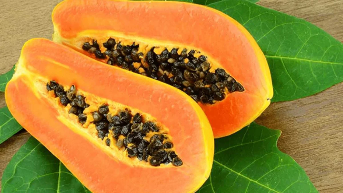 Hati-Hati, 5 Kelompok Ini Wajib Menghindari Buah Pepaya!