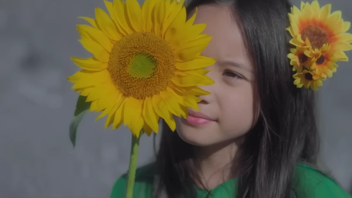 Lirik Lagu Gala Bunga Matahari – Sal Priadi, Maknanya Cukup Dalam tentang Kerinduan