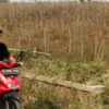 Ilustrasi: Seorang pria tengah mengendarai sepeda motor berboncengan melintasi lahan kering karena musim kemarau. (Dok: Jabar Ekspres)