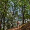 7 Tempat Hiking Terpopuler di Bandung yang Wajib Dikunjungi Sambil Wisata Olahraga untuk Wisatawan
