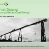 Aplikasi Berau Coal Penghasil Uang atau Penipuan Berkedok Investasi?