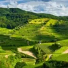 5 Destinasi Wisata Jawa Barat yang Wajib Dikunjungi, Cocok Buat Liburan Bareng Keluarga dan Pacar!