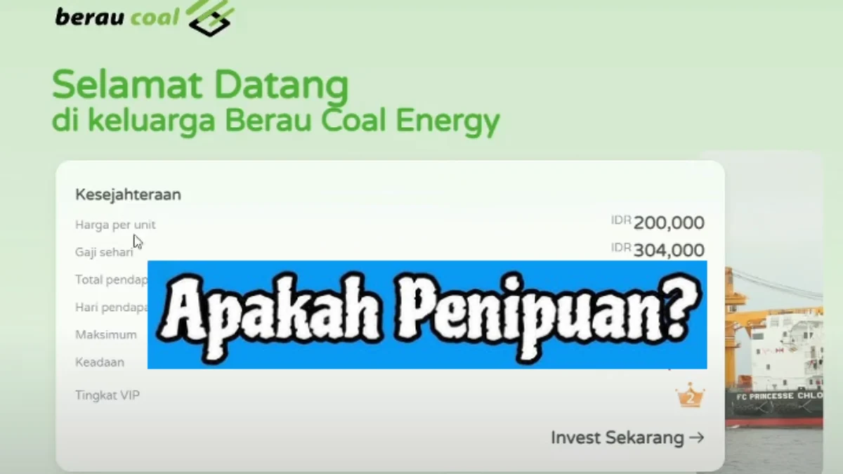 Apa Benar Aplikasi Berau Coal Terbukti Investasi Bodong? Cek Faktanya Apa Benar Aplikasi Berau Coal Terbukti Investasi Bodong? Cek Faktanya