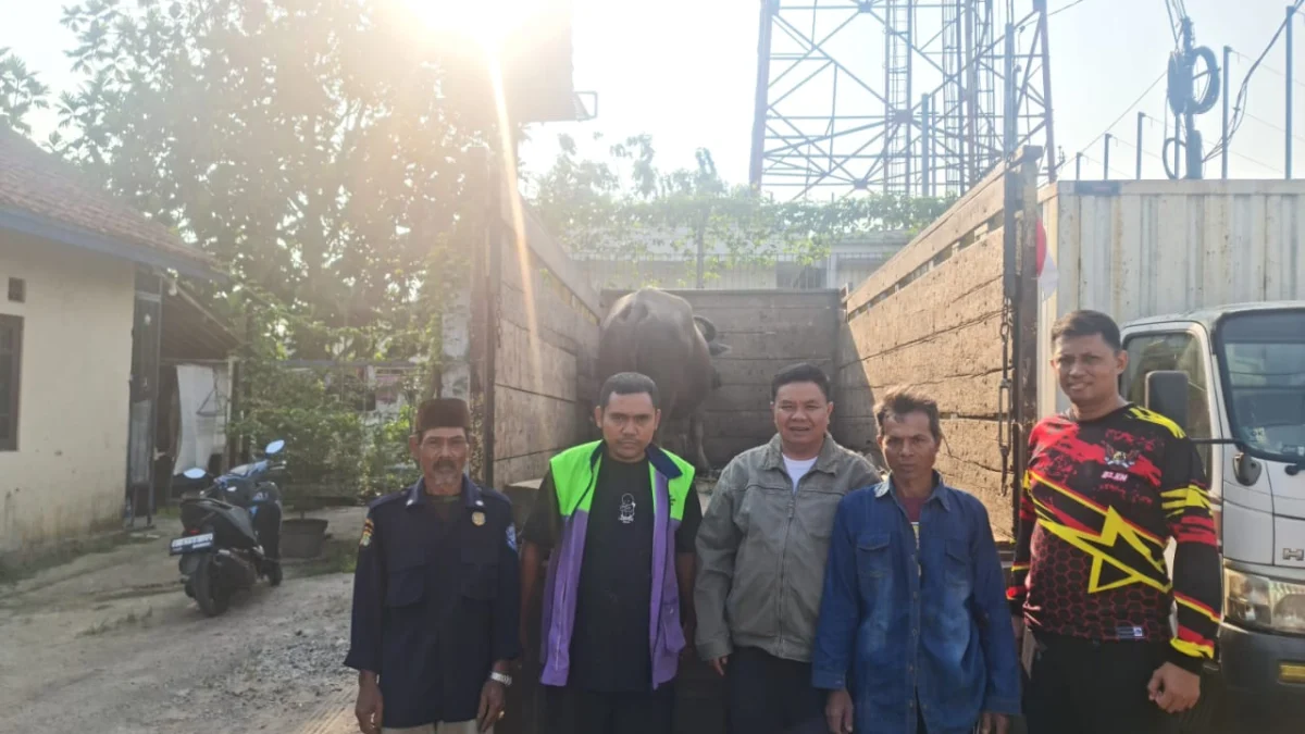 Sempat Kejar-Kejaran dengan Pelaku, Polisi Berhasil Gagalkan Aksi Pencurian Kerbau di Bogor Foto :Dok Polsek Jasinga