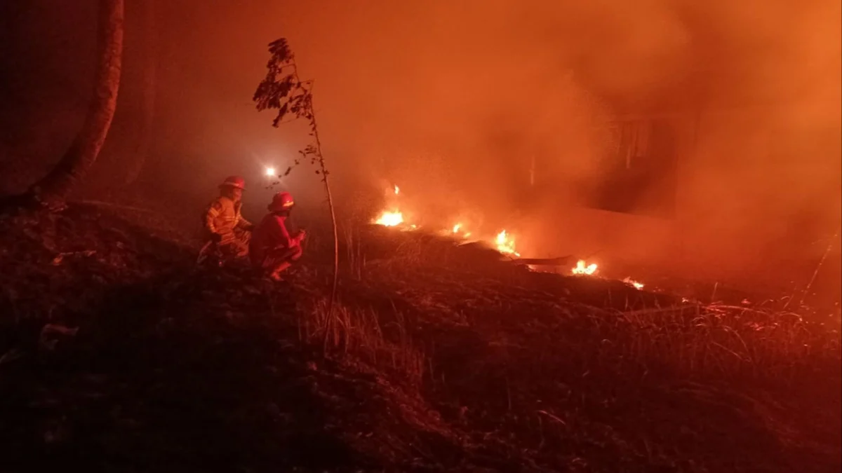 Petugas Damkar Bandung Barat saat memadamkan api yang membakar alang-alang di Cipatat, Bandung Barat. Rabu (28/8). Dok Damkar KBB