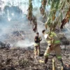 Petugas Damkar berhasil padamkan kobaran api yang membakar lahan dan tengah melakukan pendinginan di wilayah Kampung Cibejog, RT01 RW 02, Desa Melatiwangi, Kecamatan Cilengkrang, Kabupaten Bandung. (Istimewa)
