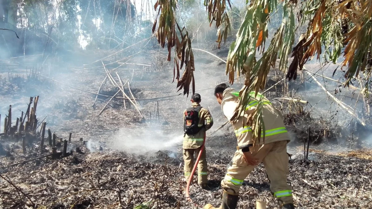 Petugas Damkar berhasil padamkan kobaran api yang membakar lahan dan tengah melakukan pendinginan di wilayah Kampung Cibejog, RT01 RW 02, Desa Melatiwangi, Kecamatan Cilengkrang, Kabupaten Bandung. (Istimewa)
