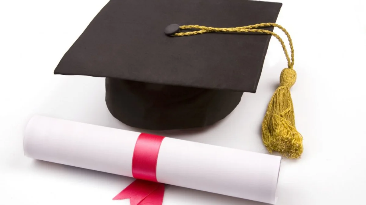 Cara Menemukan Tanggal Ijazah S1 untuk Daftar CPNS 2024