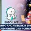 Menkominfo Blokir Platform Live Streaming Bigo Live, Ini Alasannya