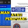 Aplikasi FGS Global Penipuan Skema Ponzi atau Peluang Nyata?