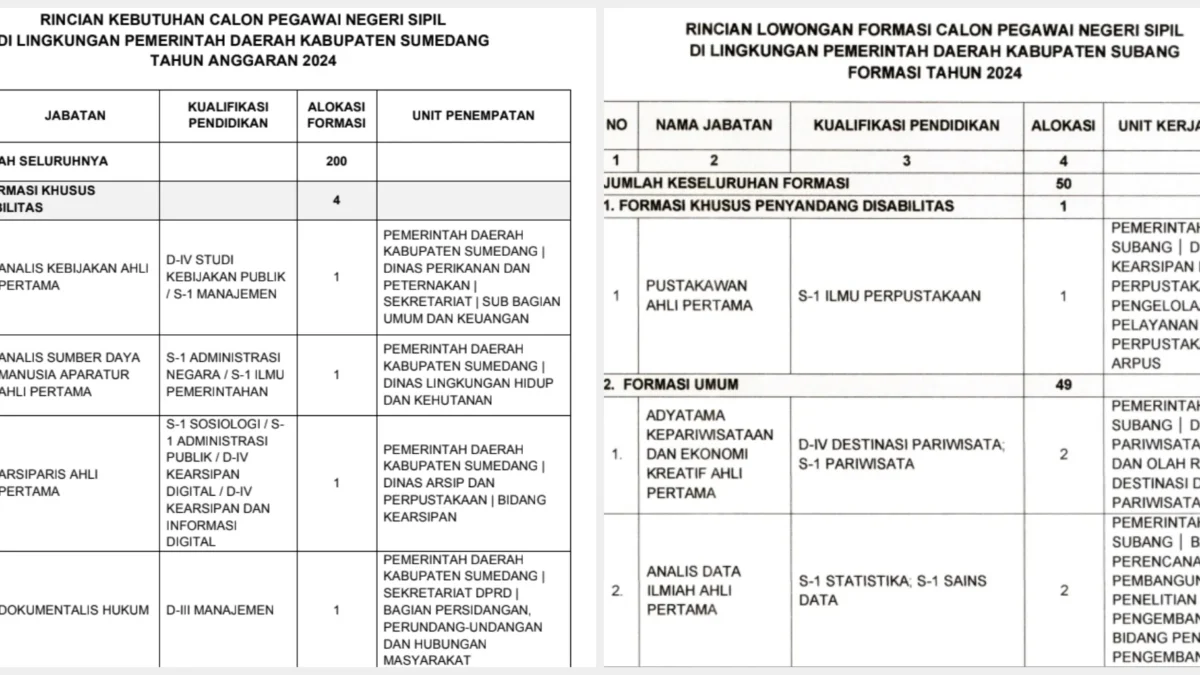 PDF Formasi CPNS 2024 di Kabupaten Sumedang dan Subang/ Kolase PDF Formasi CPNS 2024 Pemkab Sumedang dan Subang