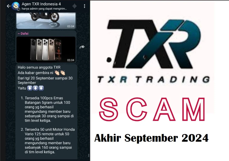 Aplikasi TXR yang diprediksi hanya akan berumur sampai akhir September 2024 ini.