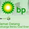 Dua Aplikasi ponzi yang Scam hari ini setelah SAI Robot.