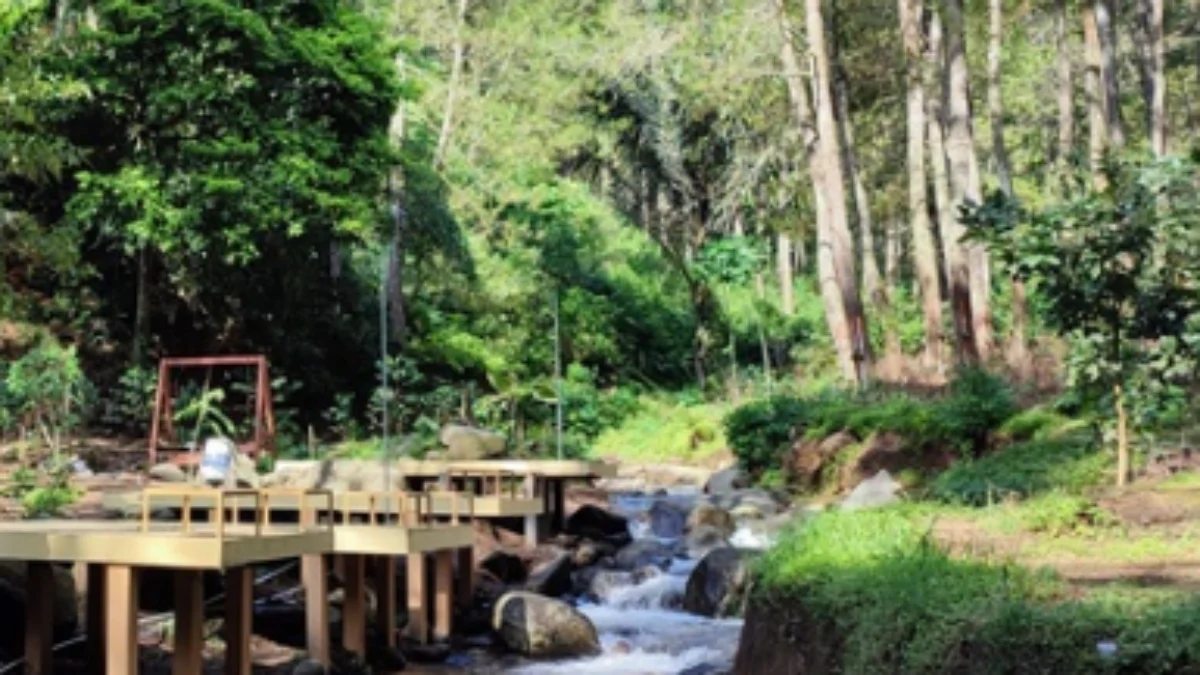 7 Tempat Wisata Seru di Jawa Barat, Cocok untuk Mengisi Liburan Anak Sekolah 7 Tempat Wisata Seru di Jawa Barat, Cocok untuk Mengisi Liburan Anak Sekolah