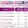 Data Statistik Sementara Pelamar CPNS 2024 di Jawa Timur/ Tangkap Layar Instagram @bkn2surabaya