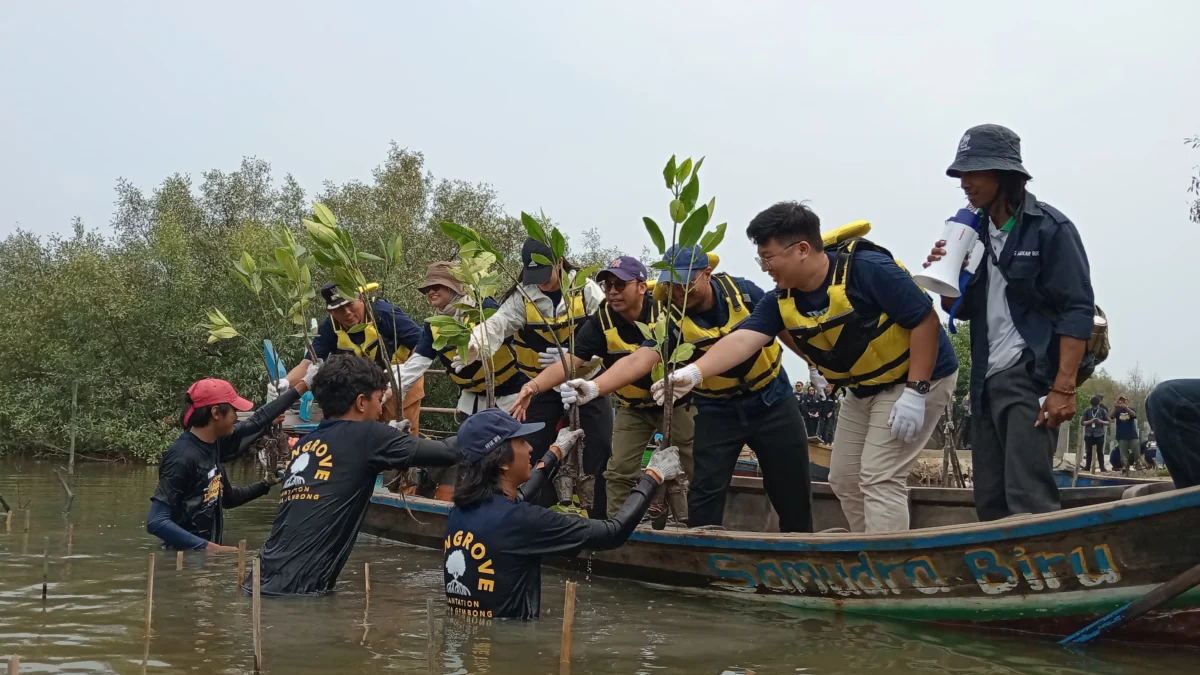 Jaga Ekosistem Laut, FishLog Tanam 5.000 Pohon Mangrov di Muara Gembong Penanaman 5.000 pohon mangrove untuk perlindungan dan kesehatan ekosistem pesisir di Muara Gembong, Senin 23 September 2024.