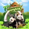 Annivesary Giant Panda ke-7, Taman Safari Bogor Siapkan Mini Parade Unik