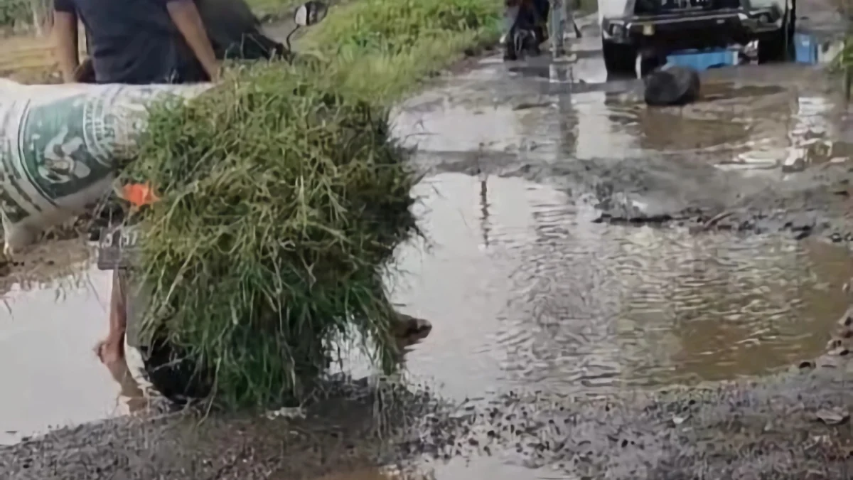Soroti Kondisi Jalan Desa yang Rusak Berat, Anggota DPRD Sumedang Siap Perjuangkan agar Segera Diperbaiki Kendaraan roda empat milik anggota DPRD Kabupaten Sumedang dari Fraksi Golkar, Sonia Sugian yang terhenti saat melintasi Jalan Desa Raharja, Kecamatan Tanjungsari yang kondisinya rusak. (Istimewa)