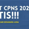 Link Tryout Tes CPNS 2024 untuk Latihan dan Detail Passing Grade Terbaru, Gratis!