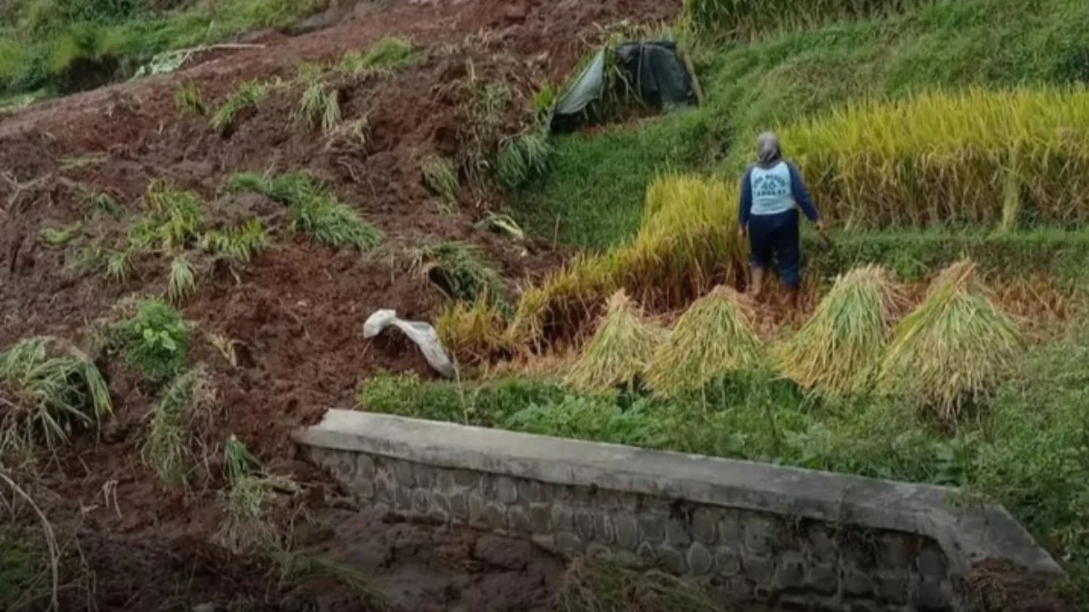 Hujan Deras Berujung Longsor, Masalah Lingkungan Perlu Segera Dituntaskan
