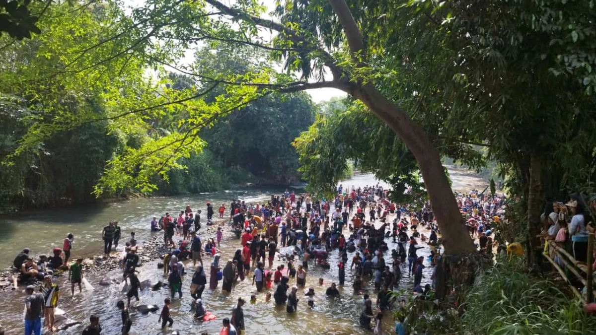 Peduli Sungai Ciliwung, Masyarakat Kelurahan Sukahati Gelar Pesta Rakyat Tangkap 2500 Ikan Ribuan warga Sukahati saat mengikuti pesta rakyat tangkap ikan. (Sandika Fadilah/Jabar Ekspres)