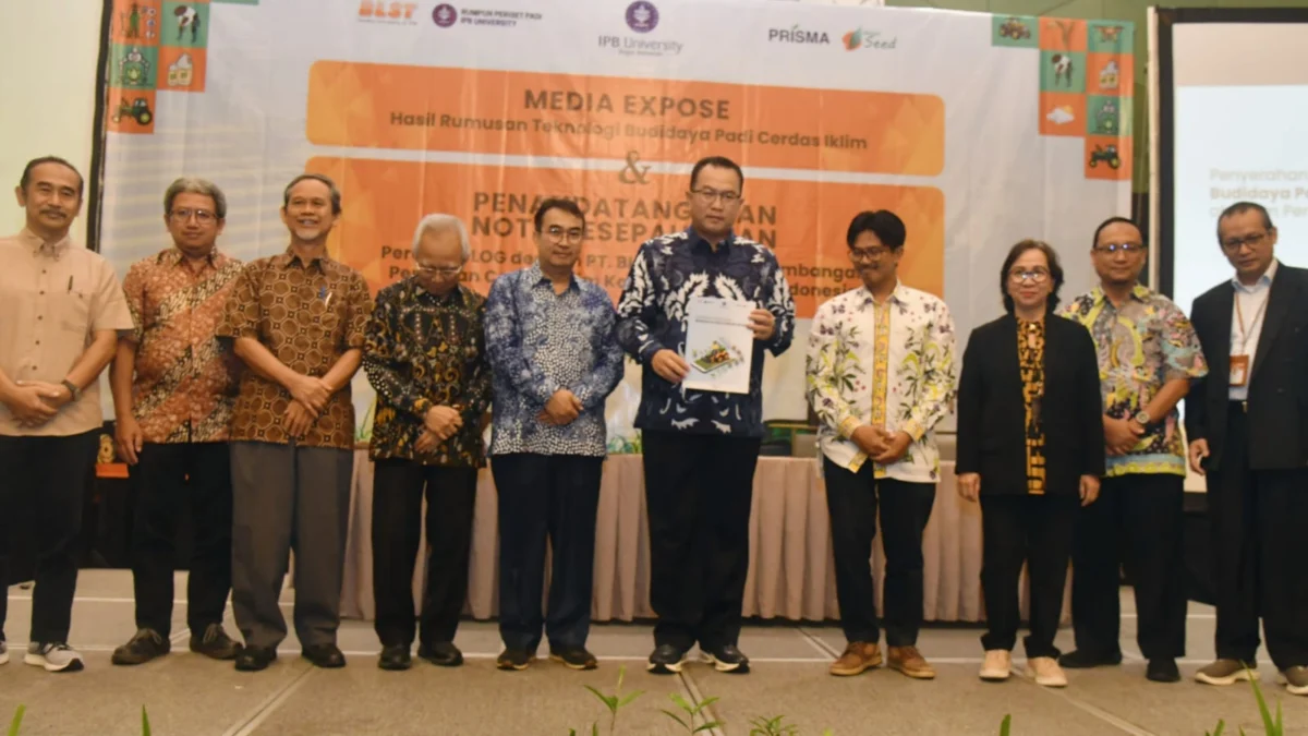 Pertahankan Pangan Nasional, IPB University Kembangkan Teknologi Budidaya Padi Cerdas Iklim IPB University rumuskan inovasi teknologi budidaya padi cerdas iklim. (Yudha Prananda / Jabar Ekspres)