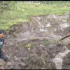 Peristiwa longsor yang menerjang area lahan pertanian di wilayah Kampung Pasir Tumenggeung, Desa Karangtunggal, Kecamatan Paseh, Kabupaten Bandung. (Istimewa)