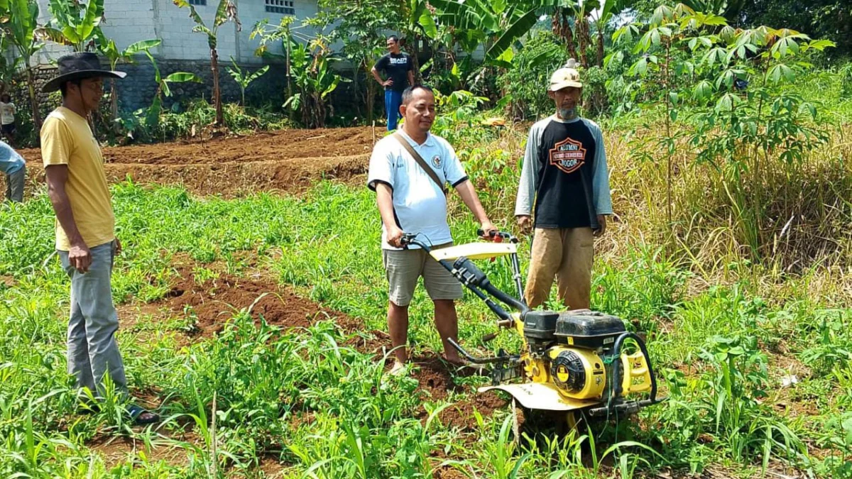 Petani Bogor Inisiasi Demplot Kedelai Organik, Tingkatkan Kesejahteraan dan Ketahanan Pangan Petani di Bogor/Foto : Sandika Fadilah /Jabarekspres.com