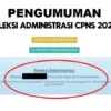Pengumuman Seleksi Administrasi CPNS tahun 2024/ Tangkap Layar Buku Petunjuk Pendaftaran CASN 2024