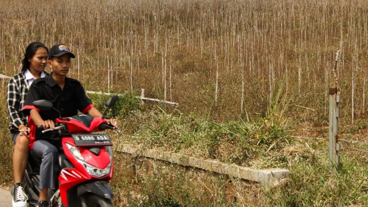 Musim Kemarau Berlangsung, Warga Kabupaten Bandung Perlu Waspadai Ini Saat Beraktivitas Ilustrasi: Seorang pria tengah mengendarai sepeda motor berboncengan melintasi lahan kering karena musim kemarau. (Dok: Jabar Ekspres)