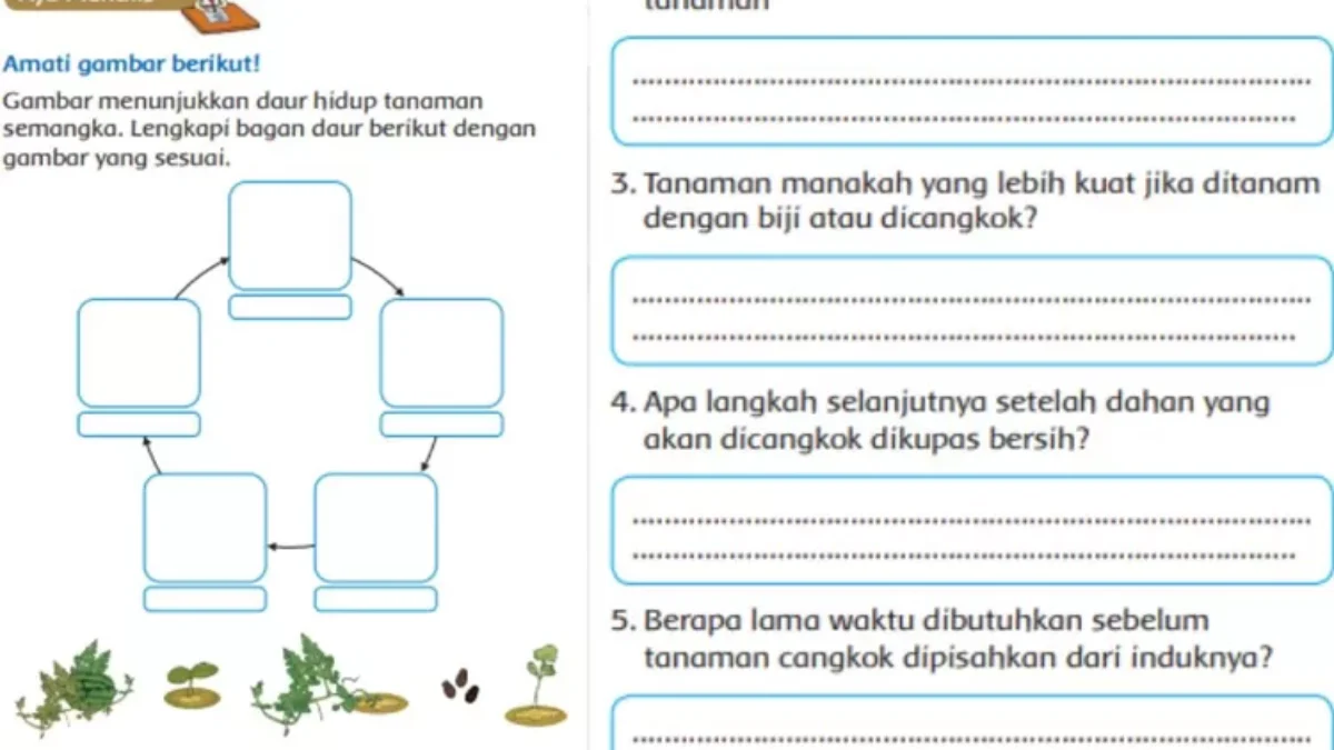 Kunci Jawaban Tema 1 Subtema 4 Kelas 3 Hal 155-183, Ciri-Ciri Bunga dalam Buku Tematik Terpadu Kurikulum 2013