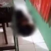 Link Video Syur Pelajar SMP di Demak Viral di Sosmed, Berikut Kronologinya