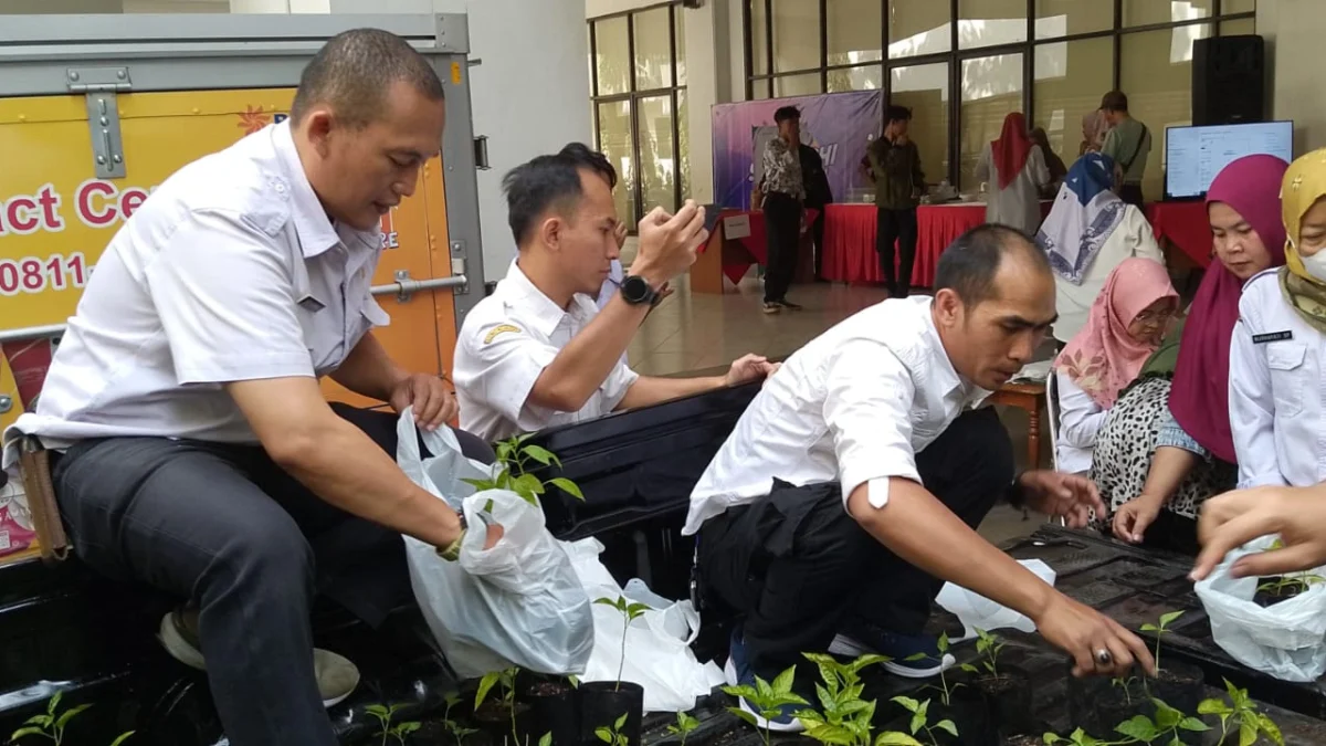 Atasi Fluktuasi Harga, Pemkot Cimahi Bagikan 1.000 Bibit Cabai pada Warga Pemerintah Kota Cimahi melalui Dinas Ketahanan Pangan dan Pertanian (Dispangtan) saat Membagikan 1.000 bibit Cabai kepada Warga (mong)