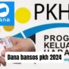 Pemerintah validasi data KPM, Dana PKH senilai Rp2,4 juta siap disalurkan tahunan untuk penerima terverifikasi lewat saldo dana secara gratis.
