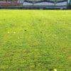 Kondisi rumput Stadion Si Jalak Harupat paska digunakan konser Sheila On 7. Foto Istimewa