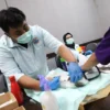 Doc. Kadispangtan Cimahi, Tita Maryam saat Meninjau Sterilisasi Kucing Bersama Sejumlah Dokter Hewan (Mong)