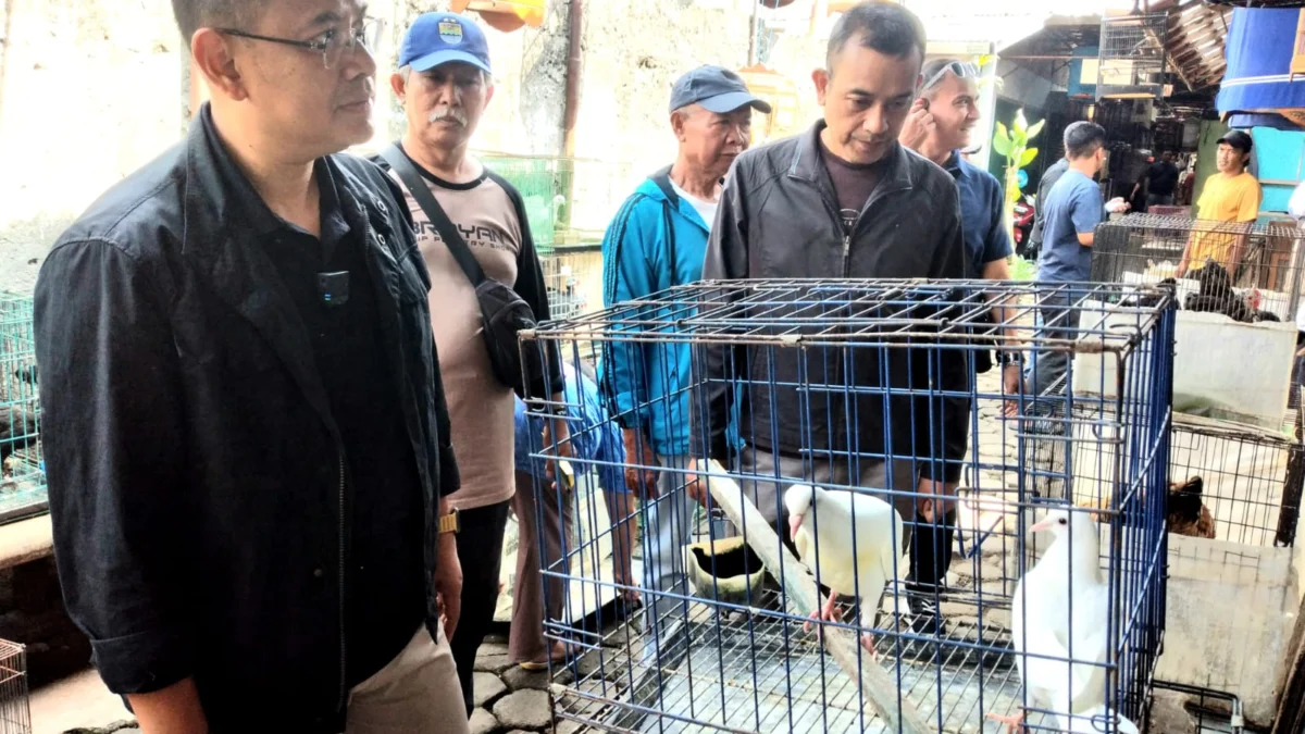 Calon Wali Kota Bandung Arfi Rafnialdi saat blusukan di Pasar Burung Sukahaji, Kamis (3/10)