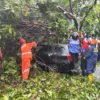 Doc. Pohon Besar Tumbang Timpa Mobil, Imbas dari Hujan Deras Disertai Angin Kencang di Kota Cimahi (mong)