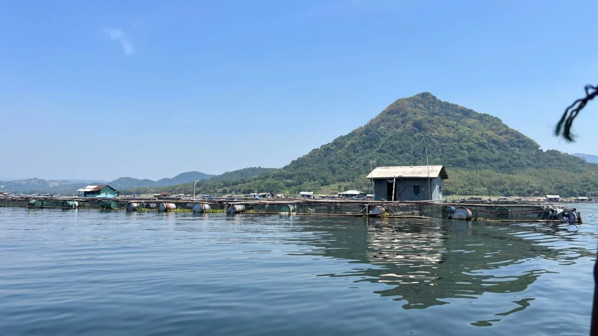 Produksi Ikan Melimpah, Pemkab Purwakarta Buat Program Gemar Makan Ikan untuk Cegah Stunting Produksi Ikan Melimpah, Pemkab Purwakarta Buat Program Gemar Makan Ikan untuk Cegah Stunting