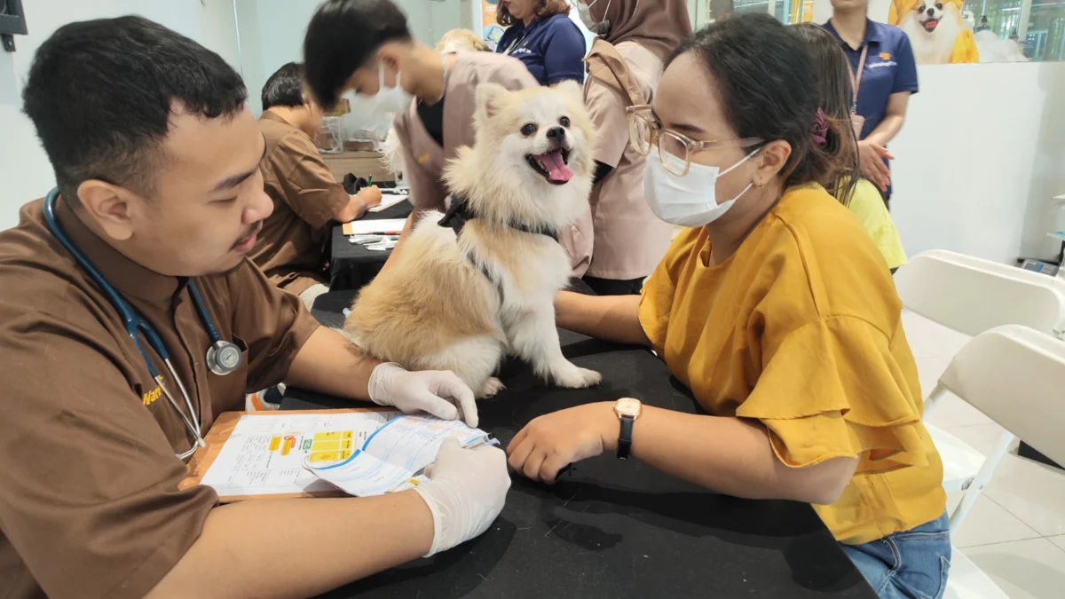 Puluhan Anabul Dapat Vaksinasi Gratis di Pet Kingdom Cibubur Vaksinasi Anabul di Cibubur