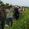 Fadli Zon saat menghadiri kegiatan panen raya di Kampung Ciherang, Desa Kiangroke, Banjaran, Kabupaten Bandung, Rabu (9/10). Foto Agi