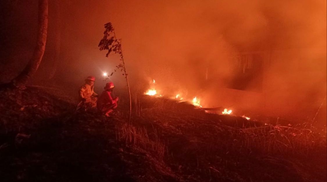 Ratusan Kebakaran Terjadi di Bandung Barat Sepanjang Kemarau 2024 Petugas Damkar Bandung Barat saat memadamkan api yang membakar alang-alang. Dok Damkar KBB