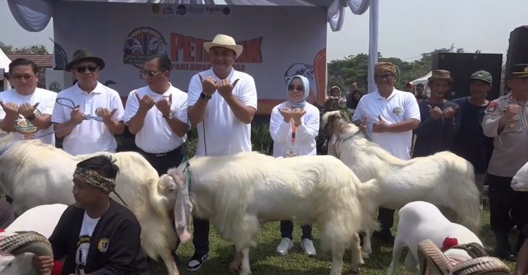 Rudy Susmanto Dapat Gelar Bapak Peternak Kabupaten Bogor Karena Lakukan Ini Peternak Kabupaten Bogor julukan baru Rudy Susmanto