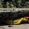 Sejumlah mobil tertimpa pohon tumbang di objek wisata Farmhouse Lembang, Bandung Barat. Minggu (27/10). Dok media sosial Facebook (Majalah Otomotif Online)