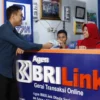 pemertaan layanan perbankan melalui BRILink