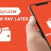 Cara Mudah Menaikkan Limit SPayLater di Shopee Hingga Belasan Juta